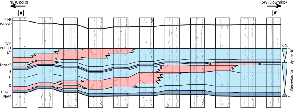 Cross-section demonstrating delineation